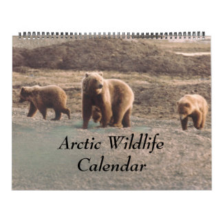 Klassisches Arktisches Foto Alaska Kalender