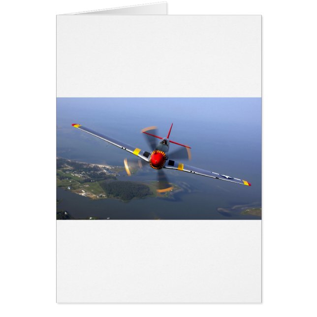 Klassisches Flugzeug (Vorne)