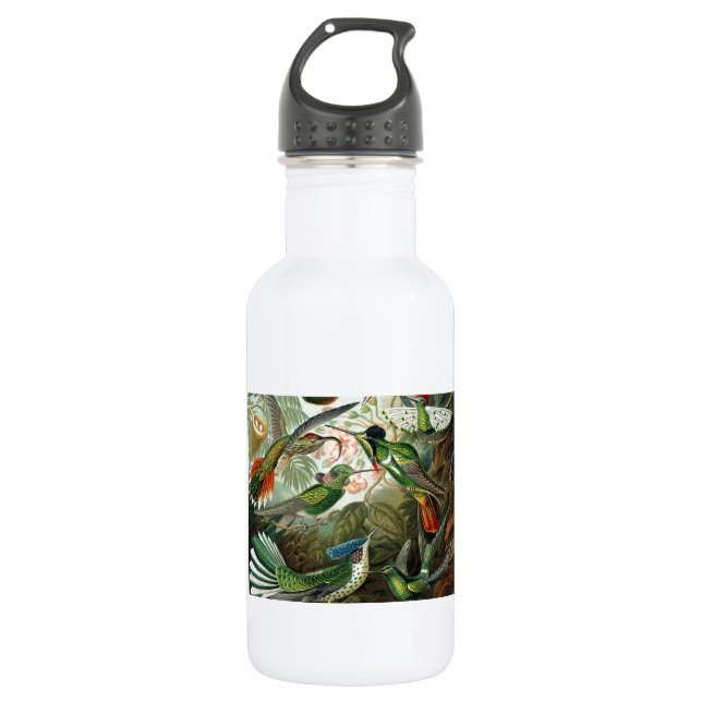 Klassisches Gemälde von Kolibri Edelstahlflasche (Vorderseite)