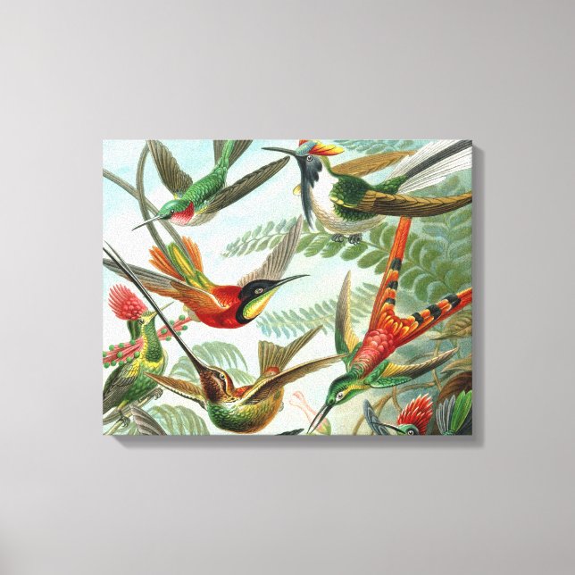 Klassisches Gemälde von Kolibri Leinwanddruck (Vorderseite)