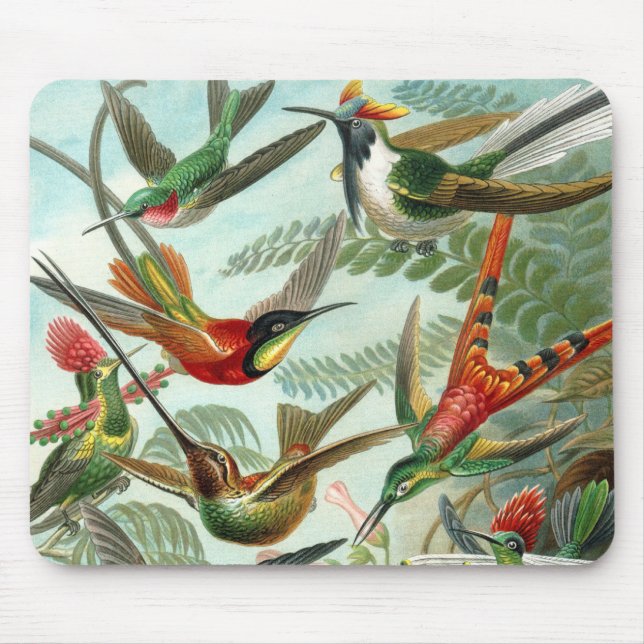 Klassisches Gemälde von Kolibri Mousepad (Vorne)