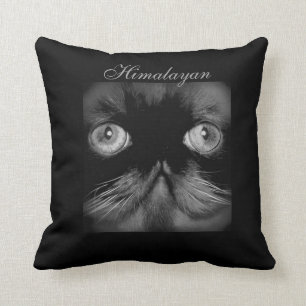 KLASSISCHES HIMALAJAdekoratives KISSEN CAT