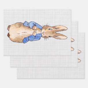 Klassisches Kaninchen in blauer Jacke Geschenkpapier Set