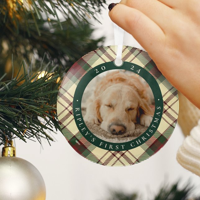 Klassisches Kariertes Foto für Haustiere Ornament Aus Glas (Von Creator hochgeladen)