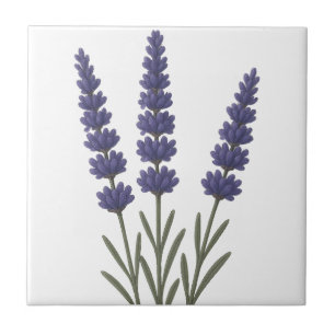 Klassisches Lavendel-Design Fliese