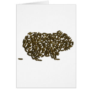 Klassisches Meerschweinchen