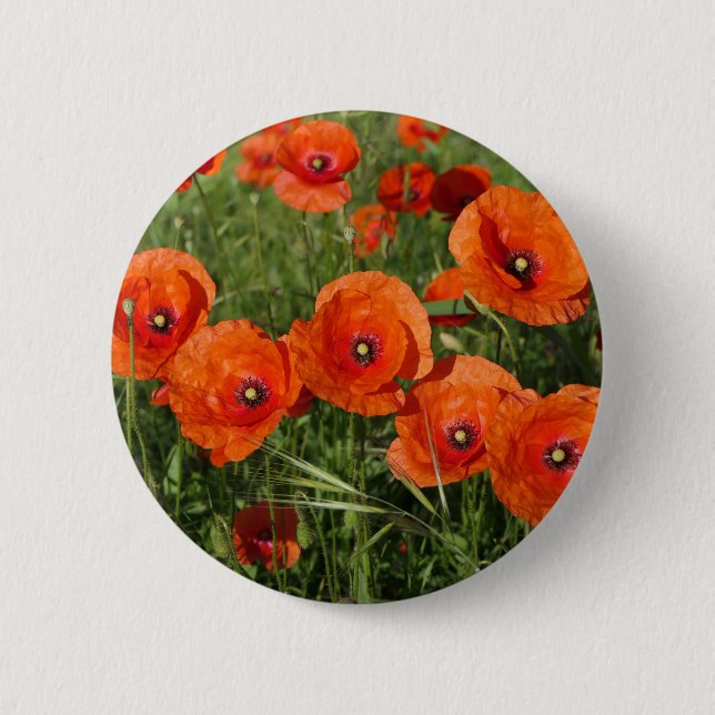 Klatschmohn  button (Vorderseite)