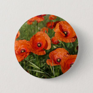 Klatschmohn button
