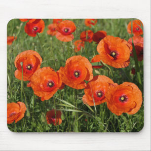 Klatschmohn  mousepad