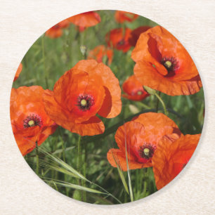 Klatschmohn runder pappuntersetzer
