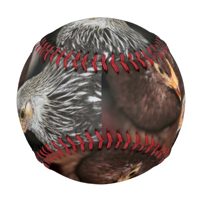 Klatschzeit Baseball (Vorderseite)