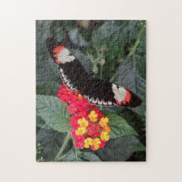 Klavier-Schlüsselschmetterlings-Puzzlespiel