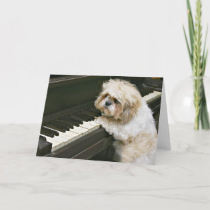 Klavierspieler Karte