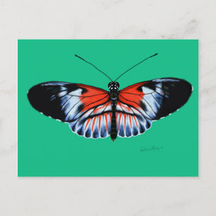 Klaviertasten Schmetterlingsgemälde mit schwarzen, Postkarte