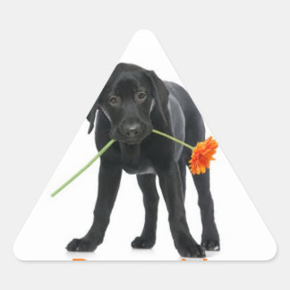 klebe Hund/Blume Dreieckiger Aufkleber