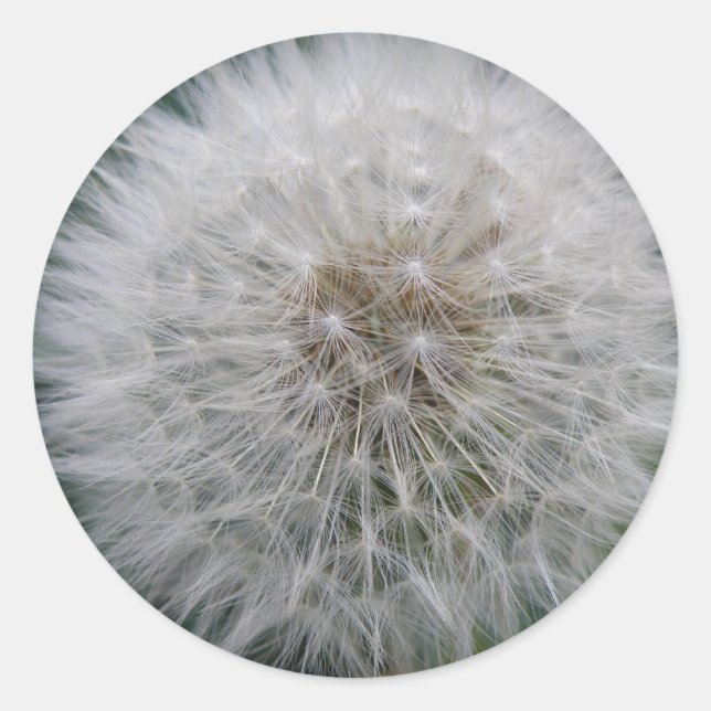 Kleber für die Blume von Kronleuchten Runder Aufkleber (Vorderseite)