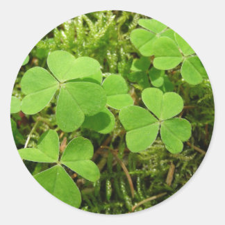 Kleberpflaster - Aufkleber