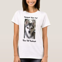 Klee Kai Himmel, alaskisches Klee Kai