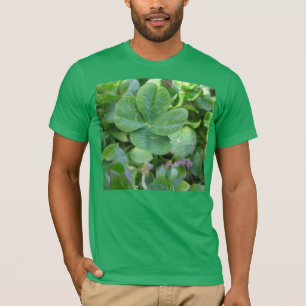Klee T-Shirt