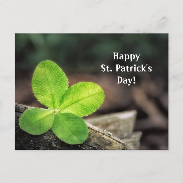 Kleeblatt 2 St. Patrick's Day Postcard Postkarte (Vorderseite)
