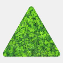 Kleeblatt Clovers Green Irish Symbol Irland