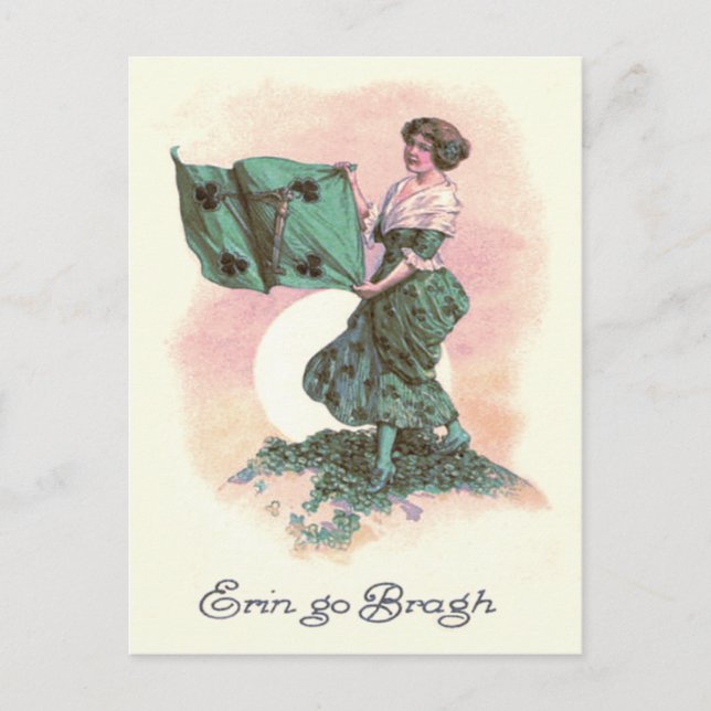 Kleeblatt der irischen Flagge Postkarte (Vorderseite)