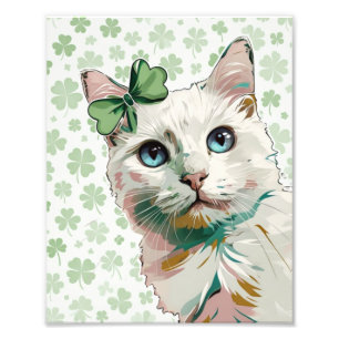 Kleeblatt Katze mit blauen Augen Fotodruck