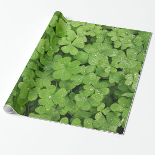 Kleeblatt-Kleeblatt Geschenkpapier
