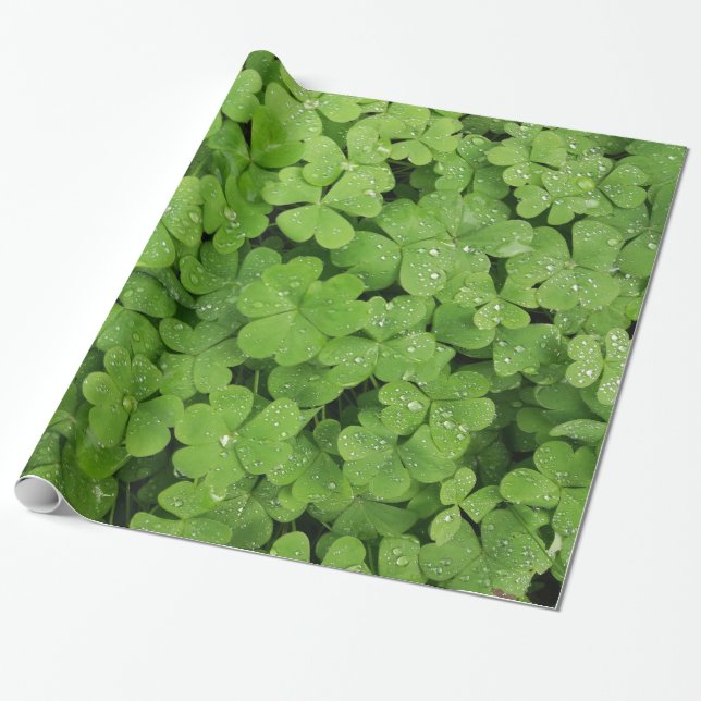 Kleeblatt-Kleeblatt Geschenkpapier (Ungerollt)