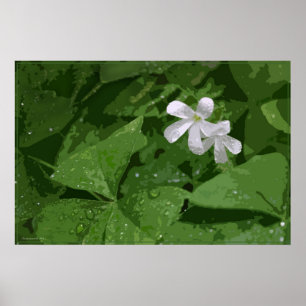 Kleeblatt-Poster ohne Text -36x24 - oder kleiner Poster