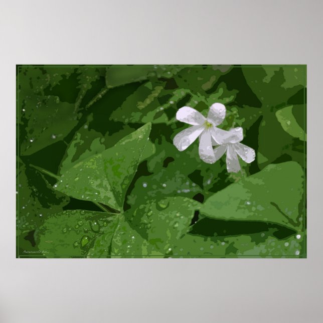 Kleeblatt-Poster ohne Text -36x24 - oder kleiner Poster (Vorne)