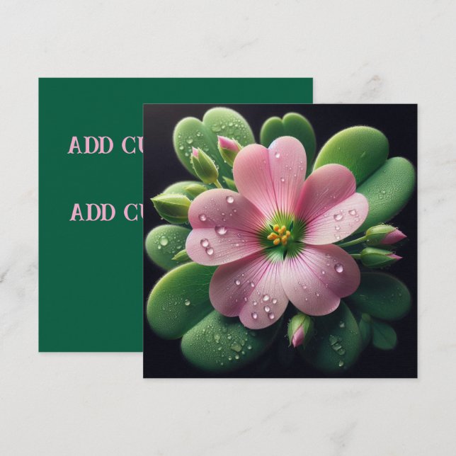 Kleeblattfarben und grüne Oxalis-Karte (Vorne/Hinten)