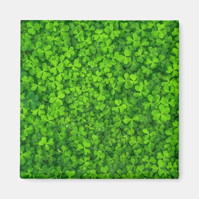 Kleeblattgrün, St. Patrick's Day, Magnet (Vorne)