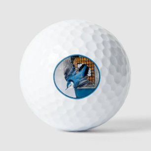 Kleiber mit weißer Brust im Schnee - Originalfoto Golfball