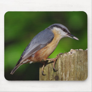 Kleiber Mousepad