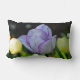 Kleidung Lendenkissen