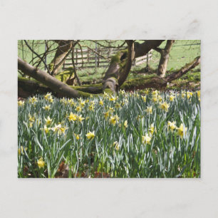 Kleidungsstücke auf der Frühjahrstagskarte Postkarte