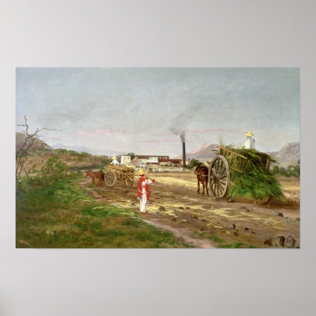 Kleinbauern, die Zuckerrohr sammeln Poster (Vorne)