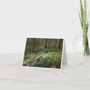 Kleine, 4" x 5,6" geklappte Note Card