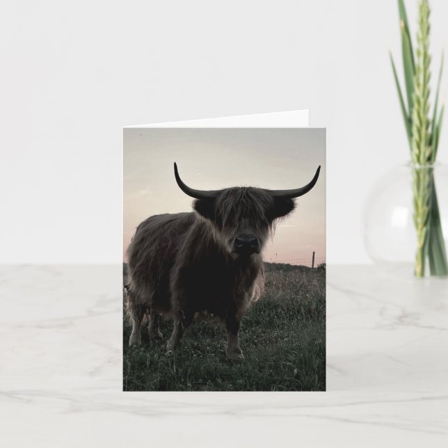 Kleine, 4 Zoll x 5,6 Zoll geklappte Hochland-Kuh-B Dankeskarte (Vorderseite)