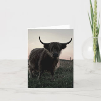 Kleine, 4 Zoll x 5,6 Zoll geklappte Hochland-Kuh-B Dankeskarte