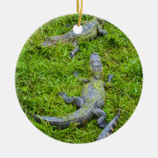 Kleine aalende Alligatoren Keramikornament