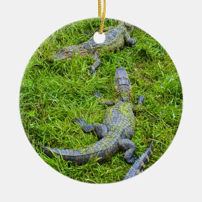 Kleine aalende Alligatoren Keramikornament (Vorne)