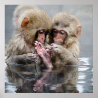 Kleine Affen | Heiße Quellen, Japan