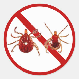 Kleine Aufkleber, Lyme-Borreliose-Ticken (weiß) Runder Aufkleber