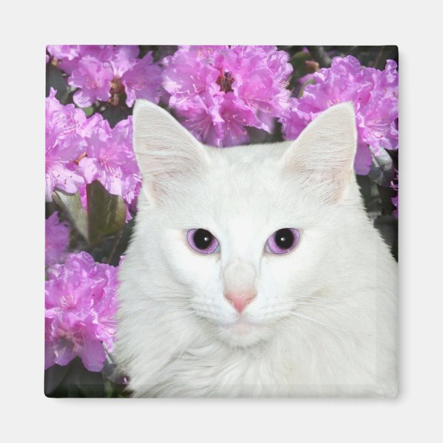 kleine Azaleen Magnet (Vorne)