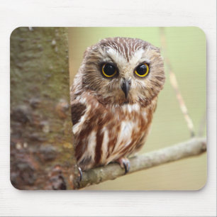 Kleine Baby-Eule Ontarios Mousepad