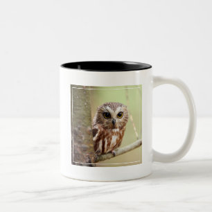 Kleine Baby-Eule Ontarios Zweifarbige Tasse