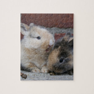 KLEINE BABY-KANINCHEN