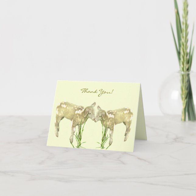 Kleine Baby Lambs auf Gelb Danke Karte (Vorderseite)